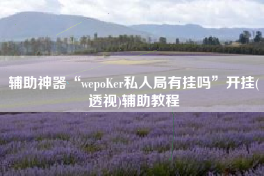 辅助神器“wepoKer私人局有挂吗”开挂(透视)辅助教程