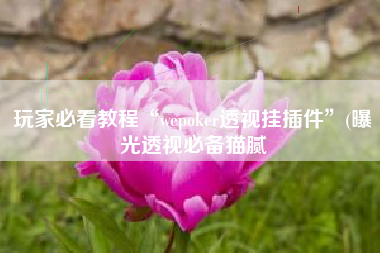 玩家必看教程“wepoker透视挂插件”(曝光透视必备猫腻