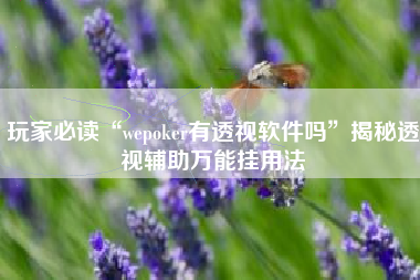 玩家必读“wepoker有透视软件吗”揭秘透视辅助万能挂用法