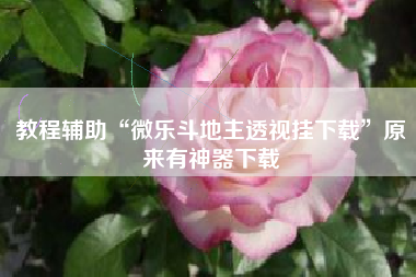 教程辅助“微乐斗地主透视挂下载	”原来有神器下载