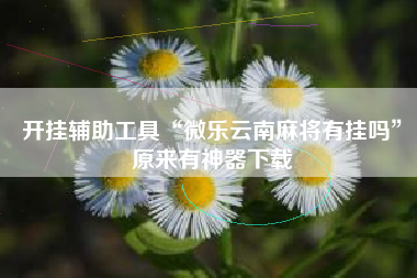 开挂辅助工具“微乐云南麻将有挂吗	”原来有神器下载