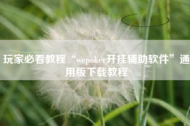 玩家必看教程“wepoker开挂辅助软件”通用版下载教程
