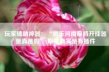 玩家辅助神器：“微乐河南麻将开挂器是真是假	”(原来确实是有插件