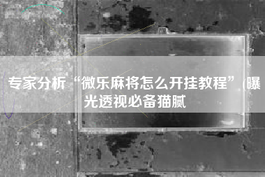 专家分析“微乐麻将怎么开挂教程”(曝光透视必备猫腻