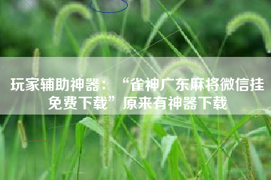 玩家辅助神器：“雀神广东麻将微信挂免费下载”原来有神器下载