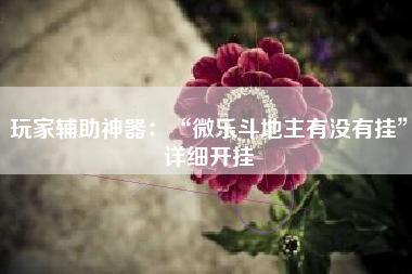 玩家辅助神器：“微乐斗地主有没有挂”详细开挂