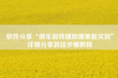 软件分享“微乐游戏辅助哪里能买到	”详细分享装挂步骤教程