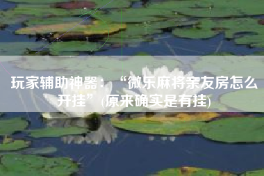 玩家辅助神器：“微乐麻将亲友房怎么开挂”(原来确实是有挂)