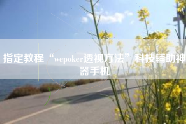 指定教程“wepoker透视方法”科技辅助神器手机