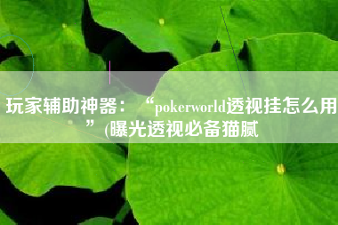 玩家辅助神器：“pokerworld透视挂怎么用	”(曝光透视必备猫腻