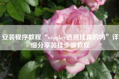 安装程序教程“wrpoker透视挂真的吗”详细分享装挂步骤教程
