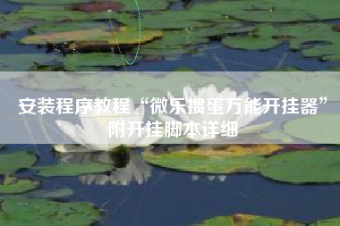 安装程序教程“微乐掼蛋万能开挂器”附开挂脚本详细