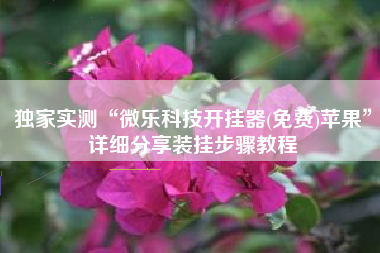 独家实测“微乐科技开挂器(免费)苹果”详细分享装挂步骤教程