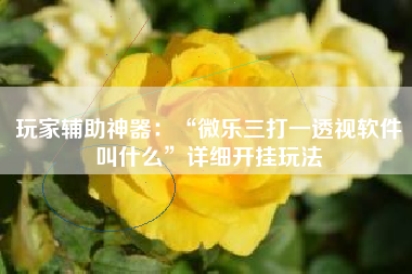 玩家辅助神器：“微乐三打一透视软件叫什么	”详细开挂玩法