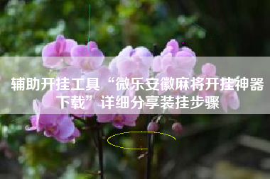 辅助开挂工具“微乐安徽麻将开挂神器下载”详细分享装挂步骤