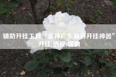 辅助开挂工具“雀神广东麻将开挂神器”开挂(透视)辅助