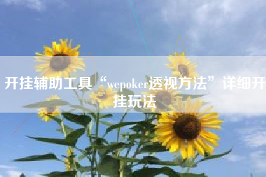 开挂辅助工具“wepoker透视方法”详细开挂玩法