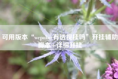 可用版本“wepoker有透视挂吗”开挂辅助脚本+详细开挂