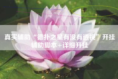 真实辅助“德扑之星有没有透视”开挂辅助脚本+详细开挂