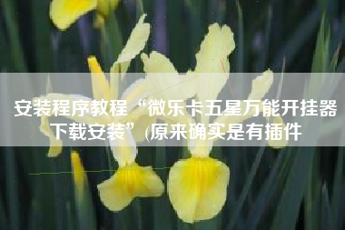 安装程序教程“微乐卡五星万能开挂器下载安装	”(原来确实是有插件