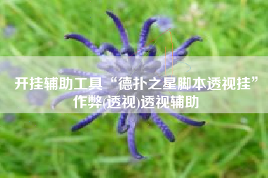 开挂辅助工具“德扑之星脚本透视挂”作弊(透视)透视辅助