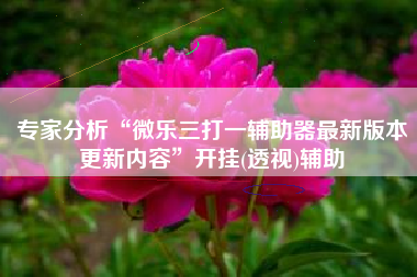 专家分析“微乐三打一辅助器最新版本更新内容”开挂(透视)辅助