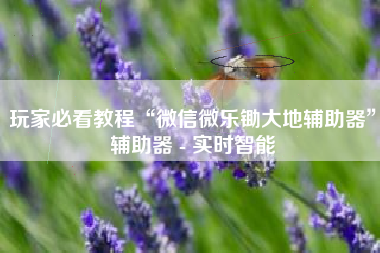 玩家必看教程“微信微乐锄大地辅助器”辅助器 - 实时智能