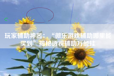 玩家辅助神器：“微乐游戏辅助哪里能买到	”揭秘透视辅助万能挂
