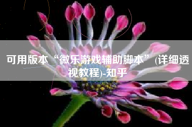 可用版本“微乐游戏辅助脚本	”(详细透视教程)-知乎