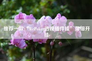推荐一款“WePoker透视插件挂”详细开挂