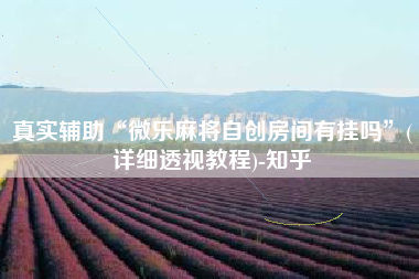 真实辅助“微乐麻将自创房间有挂吗”(详细透视教程)-知乎