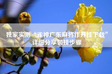 独家实测“雀神广东麻将作开挂下载	”详细分享装挂步骤