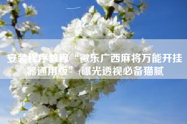 安装程序教程“微乐广西麻将万能开挂器通用版”(曝光透视必备猫腻