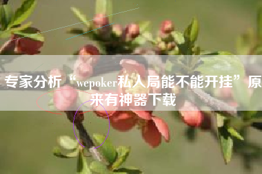 专家分析“wepoker私人局能不能开挂”原来有神器下载