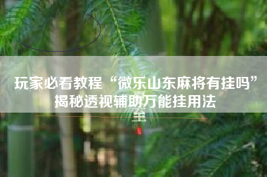 玩家必看教程“微乐山东麻将有挂吗	”揭秘透视辅助万能挂用法