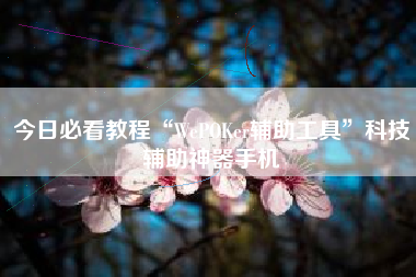 今日必看教程“WePOKer辅助工具”科技辅助神器手机