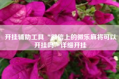 开挂辅助工具“微信上的微乐麻将可以开挂吗	”详细开挂