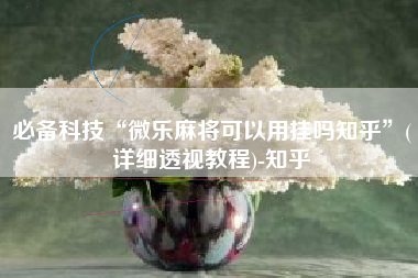 必备科技“微乐麻将可以用挂吗知乎	”(详细透视教程)-知乎