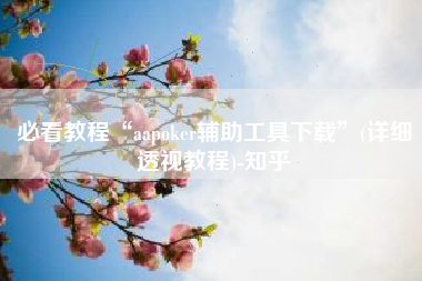 必看教程“aapoker辅助工具下载	”(详细透视教程)-知乎