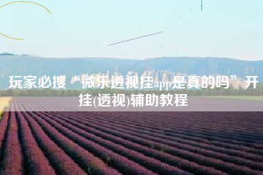玩家必搜“微乐透视挂app是真的吗”开挂(透视)辅助教程