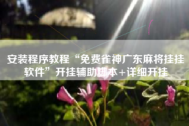安装程序教程“免费雀神广东麻将挂挂软件”开挂辅助脚本+详细开挂