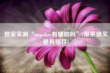 独家实测“wepoker有辅助吗”(原来确实是有插件)