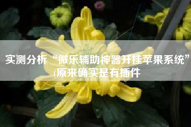 实测分析“微乐辅助神器开挂苹果系统”(原来确实是有插件