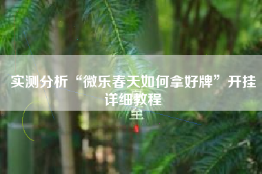 实测分析“微乐春天如何拿好牌”开挂详细教程