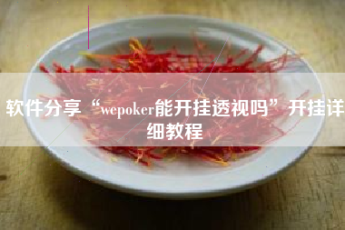 软件分享“wepoker能开挂透视吗	”开挂详细教程