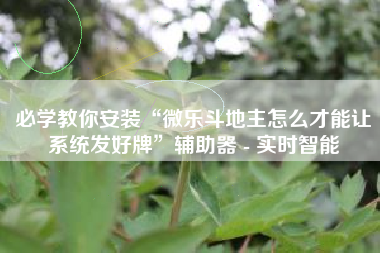 必学教你安装“微乐斗地主怎么才能让系统发好牌	”辅助器 - 实时智能