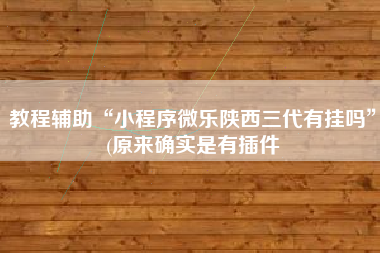 教程辅助“小程序微乐陕西三代有挂吗	”(原来确实是有插件