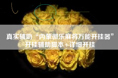 真实辅助“内蒙微乐麻将万能开挂器”开挂辅助脚本+详细开挂