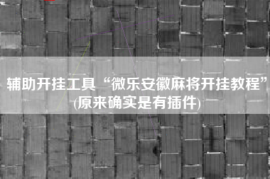 辅助开挂工具“微乐安徽麻将开挂教程	”(原来确实是有插件)