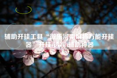 辅助开挂工具“微乐河南麻将万能开挂器	”开挂(透视)辅助神器